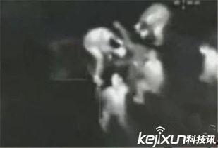 俄罗斯爆料事件视频大全,视频大全深度解析  第1张