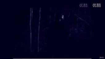 鬼玩人1手机在线观看,手机惊魂夜，恐怖盛宴在线开启  第2张