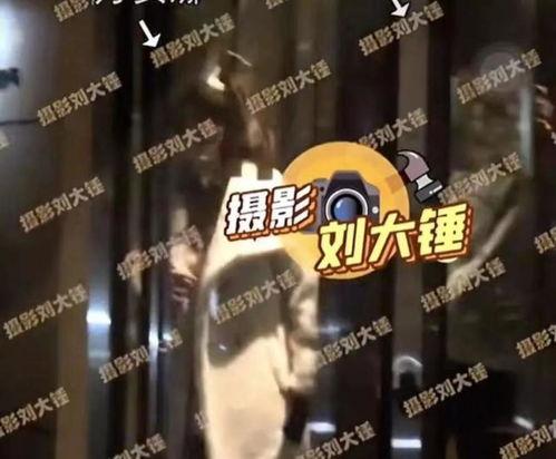 布希曼爆料视频,揭秘视频背后的惊人真相  第3张